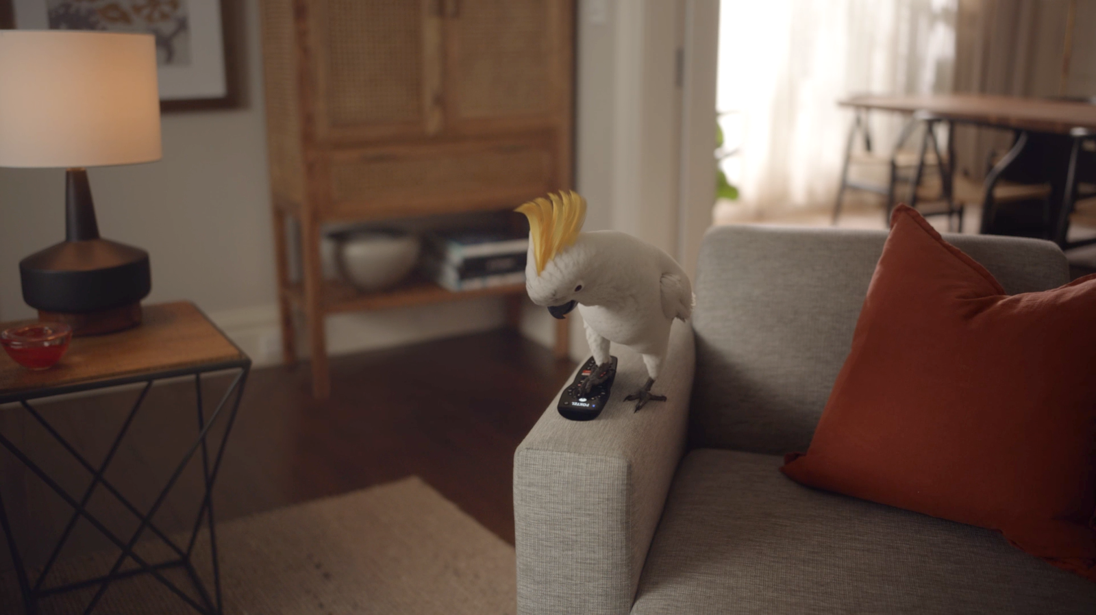 iQ4 Voice Control