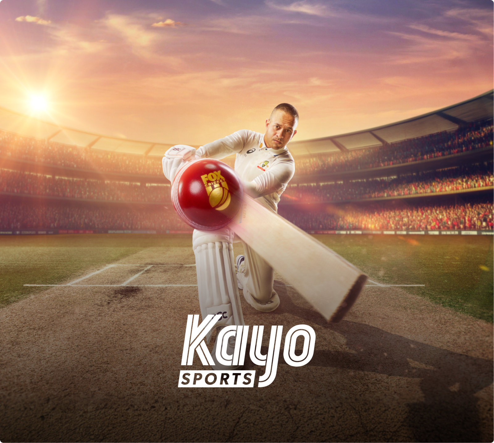 Summer Of Cricket