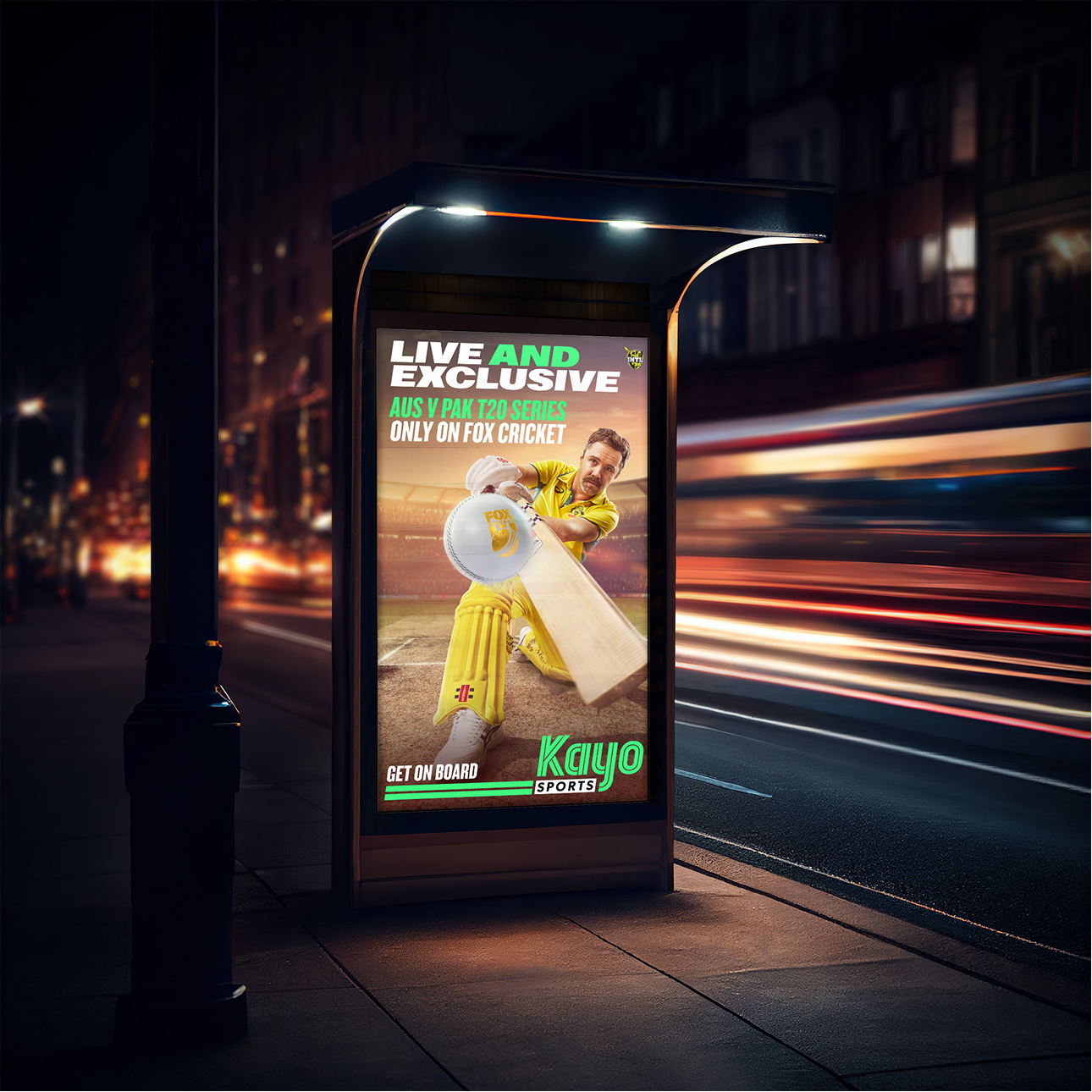Summer Of Cricket